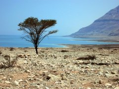 A Holt-tengeri iszap hatása